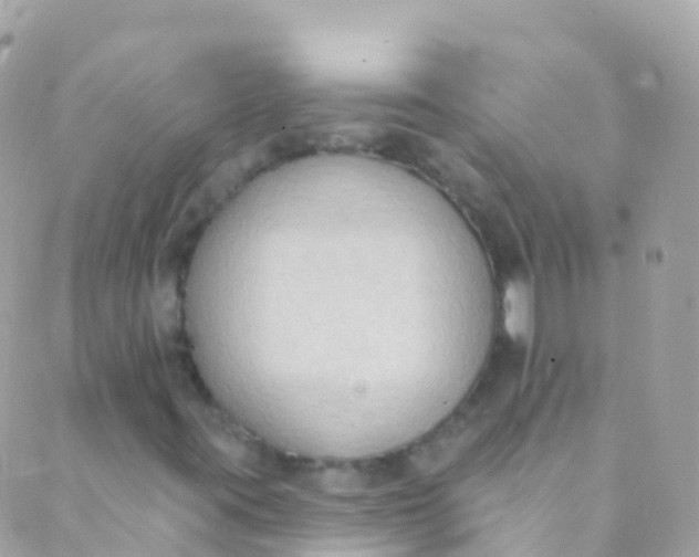 X0000089441395200707061357