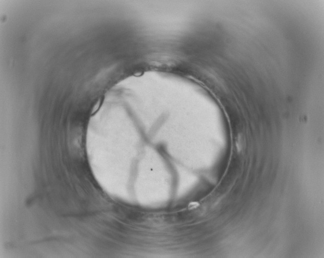 X0000089441396200707061357