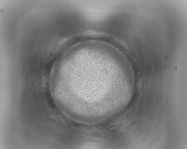 X0000089441397200707061357