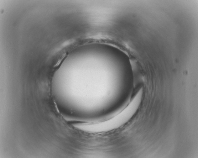 X0000089441398200707061357