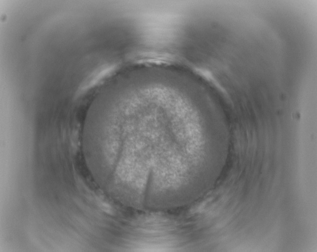 X0000089441399200707061357