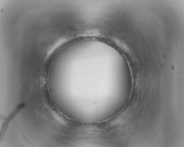 X0000089441400200707061357