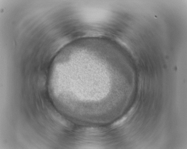 X0000089441401200707061357