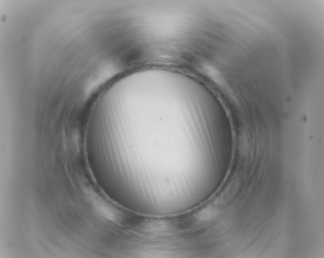 X0000089441402200707061357