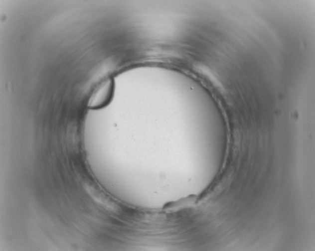 X0000089441403200707061357