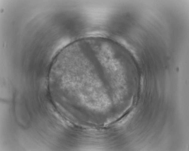 X0000089441405200707061357