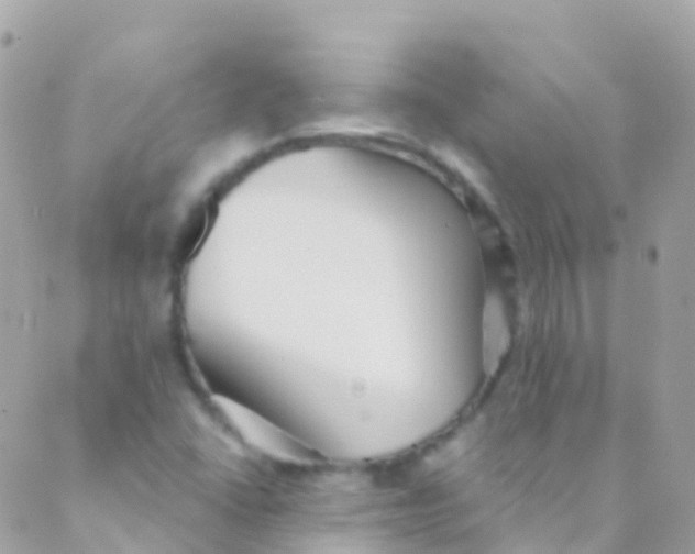 X0000089441406200707061357