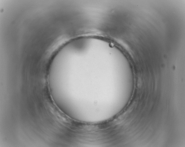 X0000089441407200707061357