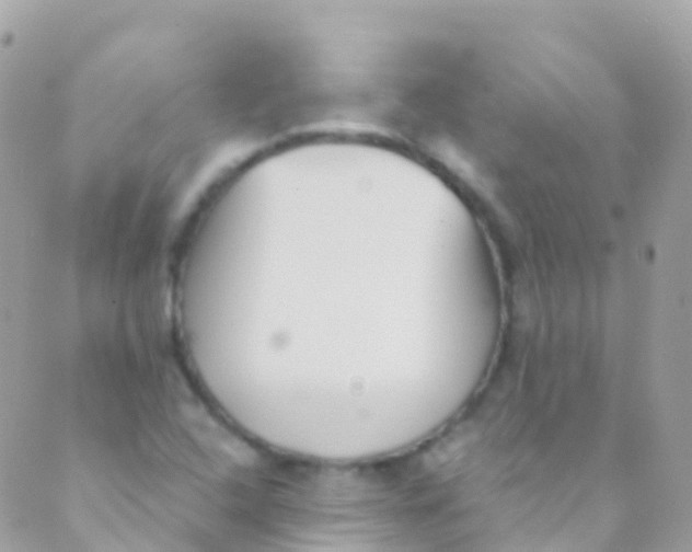 X0000089441408200707061357