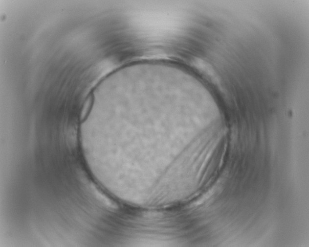 X0000089441409200707061357