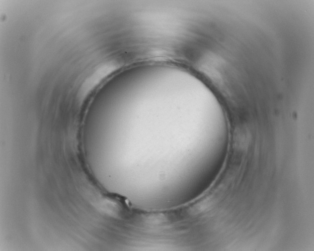 X0000089441410200707061357