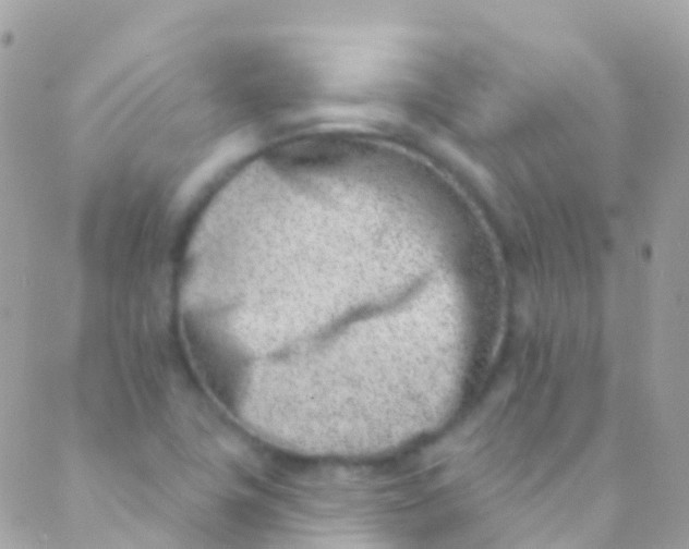 X0000089441411200707061357