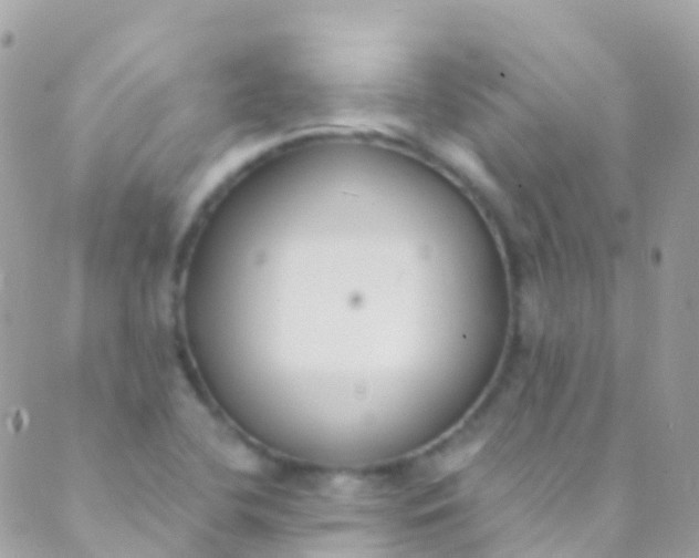 X0000089441412200707061357