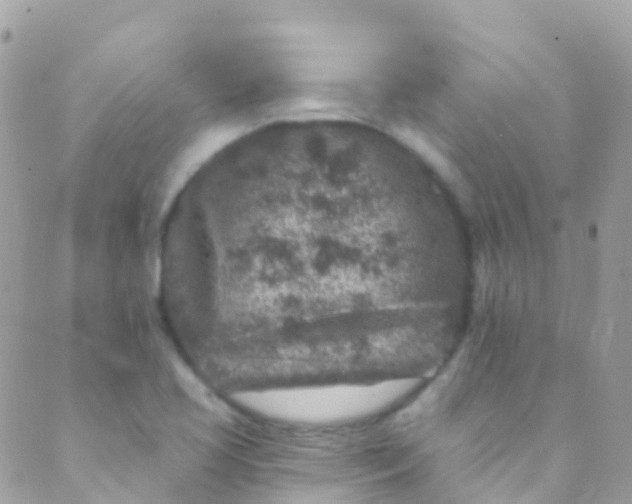 X0000089441413200707061357