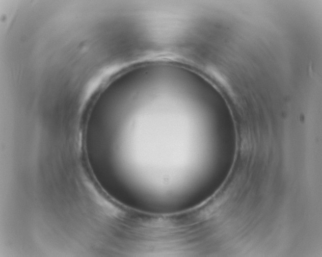 X0000089441414200707061357