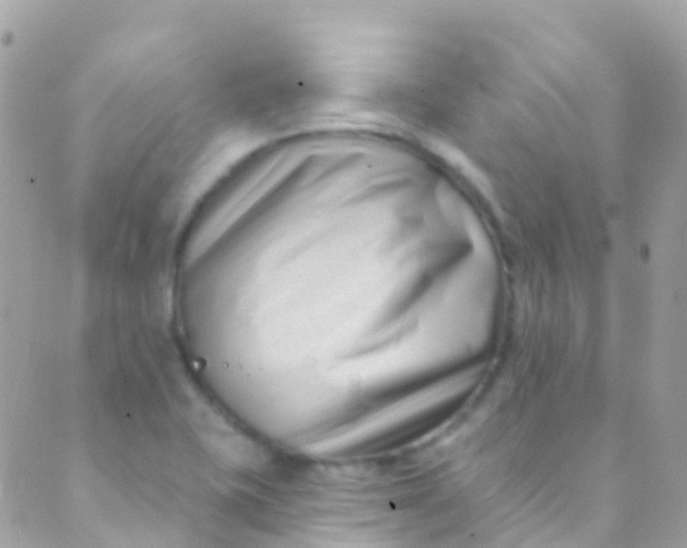 X0000089441415200707061357