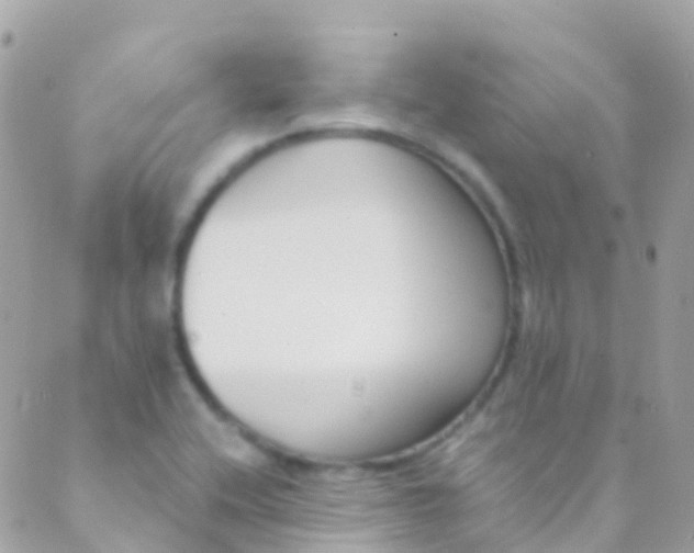 X0000089441416200707061357