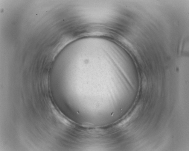 X0000089441417200707061357