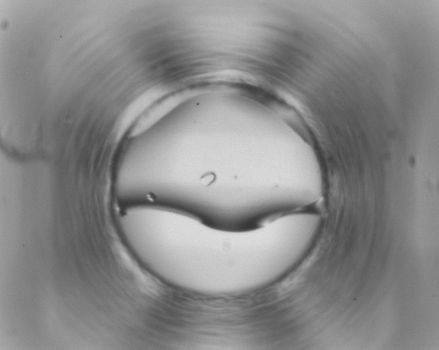 X0000089441418200707061357