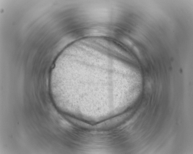 X0000089441419200707061357