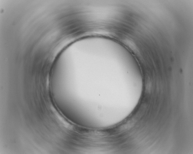 X0000089441420200707061357