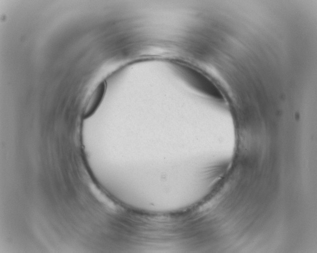 X0000089441421200707061357