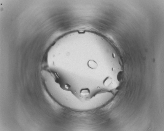 X0000089441422200707061357