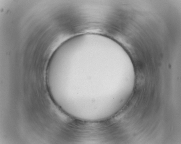 X0000089441423200707061357