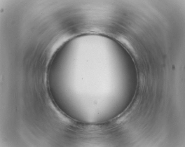 X0000089441424200707061357