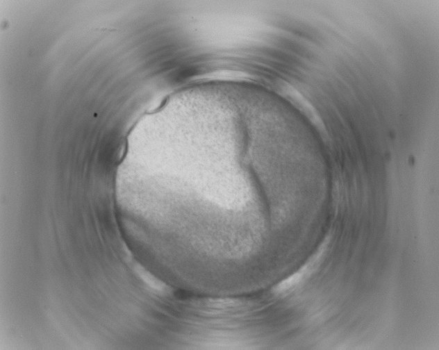 X0000089441425200707061357