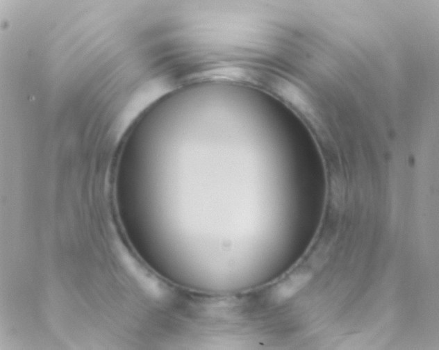 X0000089441426200707061357