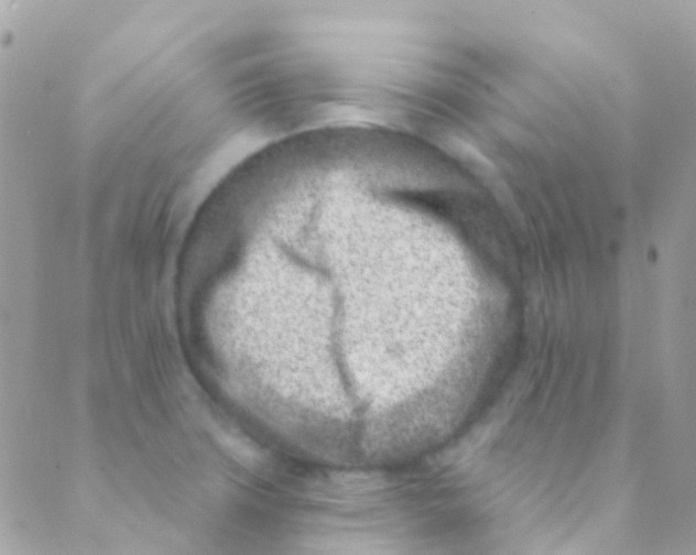 X0000089441427200707061357