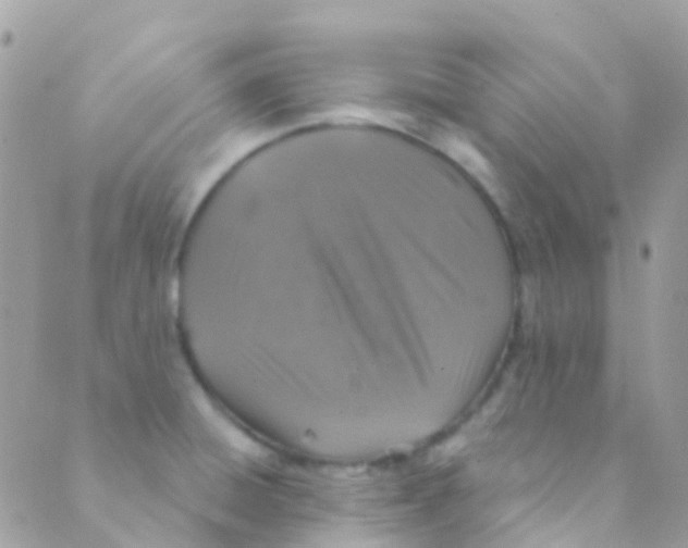 X0000089441428200707061357