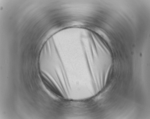 X0000089441429200707061357