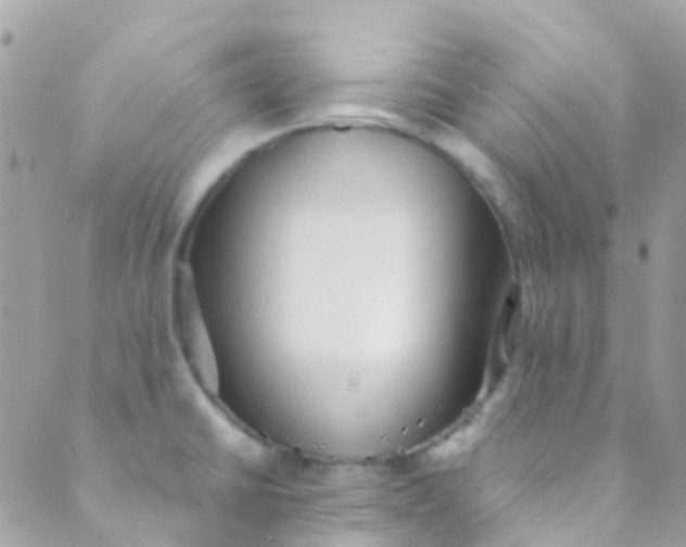 X0000089441430200707061357