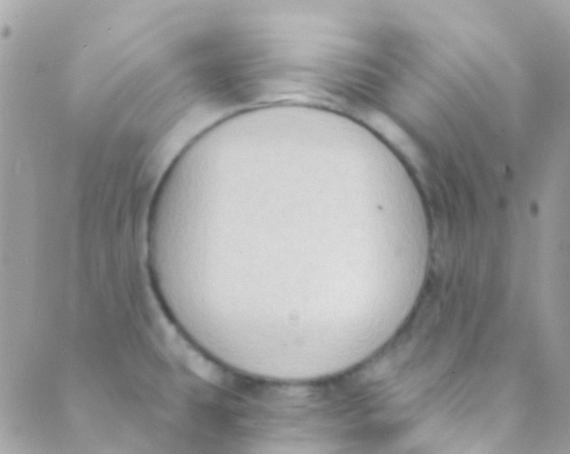 X0000089441431200707061357