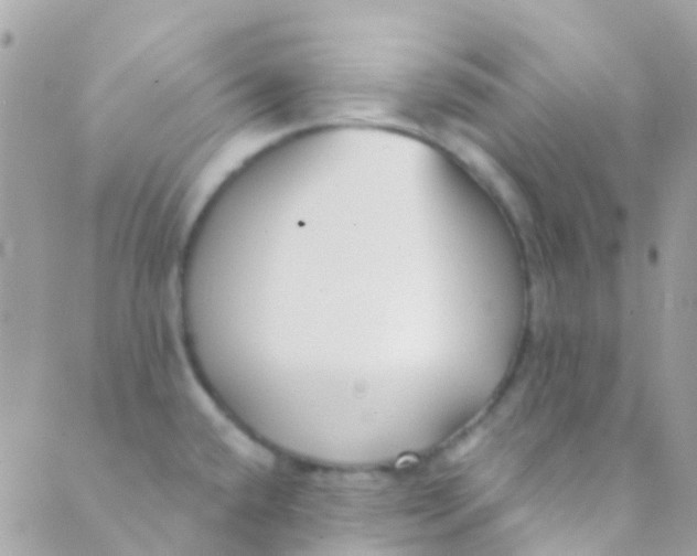 X0000089441432200707061357