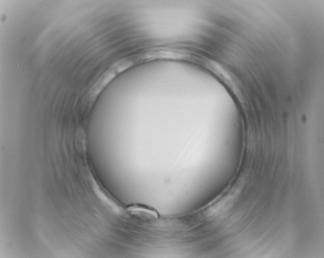 X0000089441433200707061357