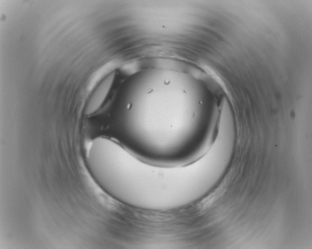 X0000089441434200707061357