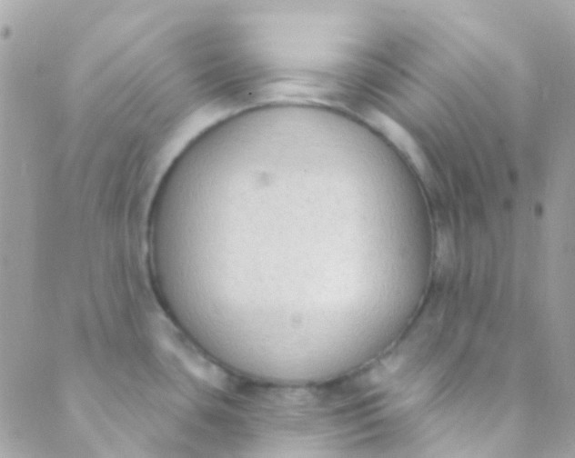 X0000089441435200707061357