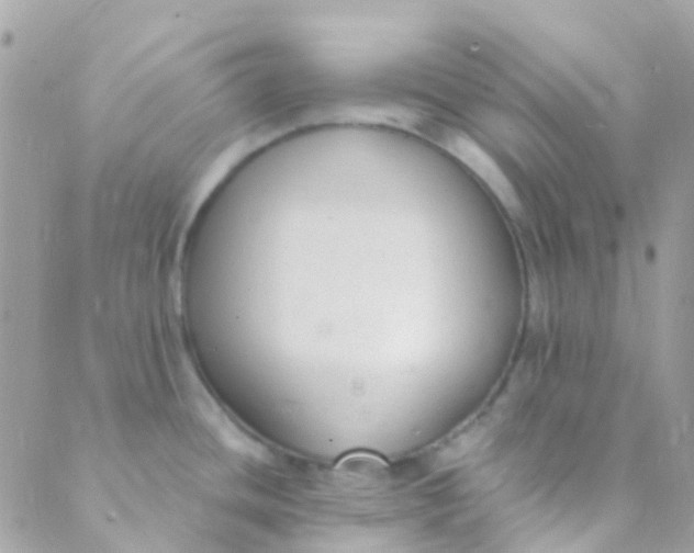 X0000089441436200707061357