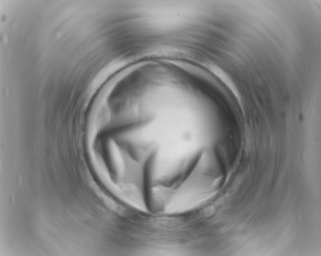 X0000089441437200707061357