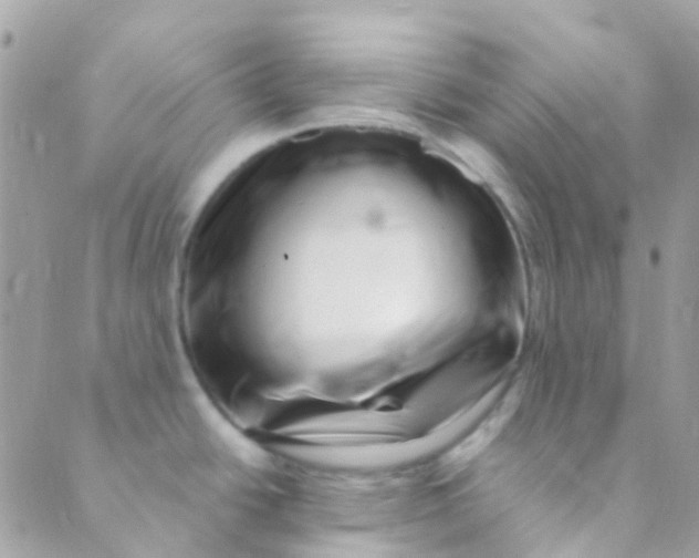 X0000089441438200707061357