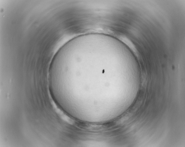 X0000089441439200707061357