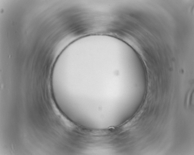 X0000089441440200707061357