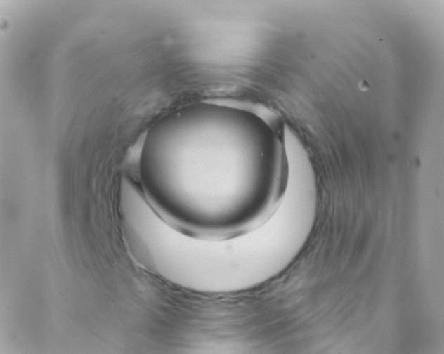 X0000089441441200707061357