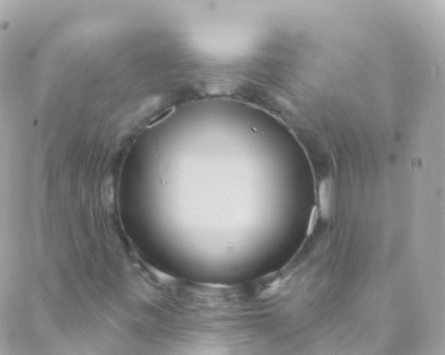 X0000089441443200707061357