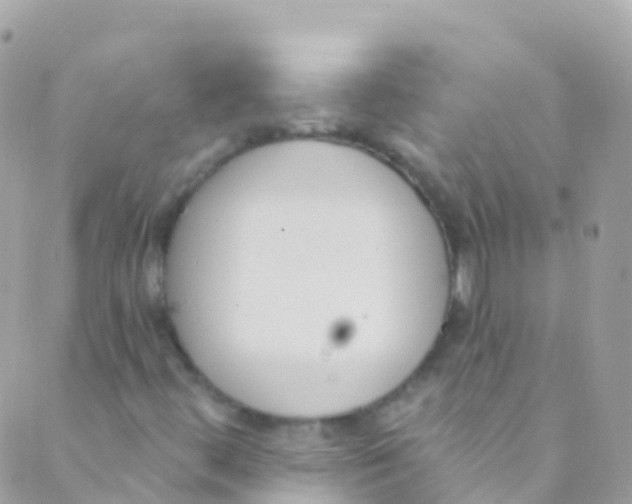 X0000089441444200707061357