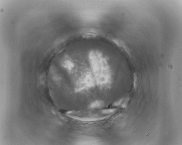 X0000089441445200707061357