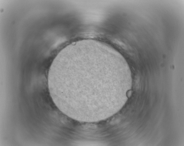 X0000089441446200707061357